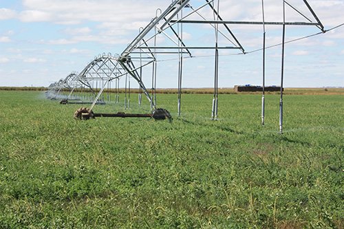 Property photo 50 - LAND AUCTION, 3255+/- Acres offered in 13 Tracts